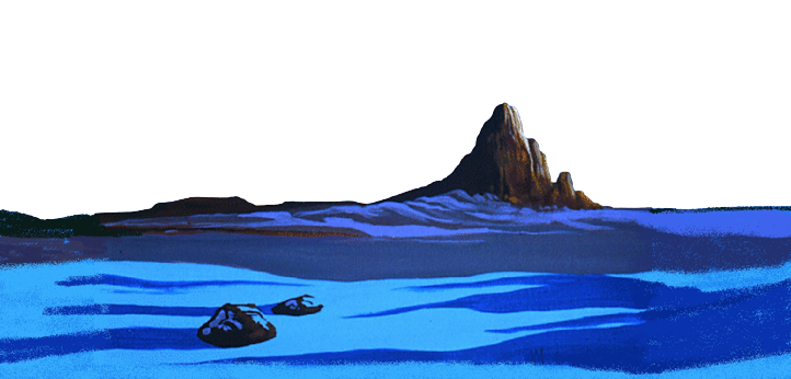 Bottom Image